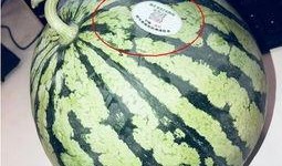 网红吃瓜仔,揭秘娱乐圈幕后真相