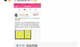 芋圆cp最新爆料微博,微博爆料揭秘幕后故事！”